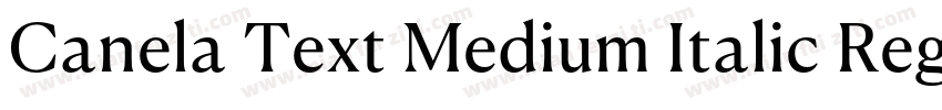Canela Text Medium Italic RegularVe字体转换